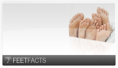 Feet Facts